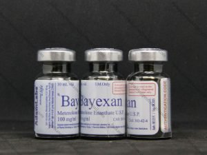Adam Bayexan